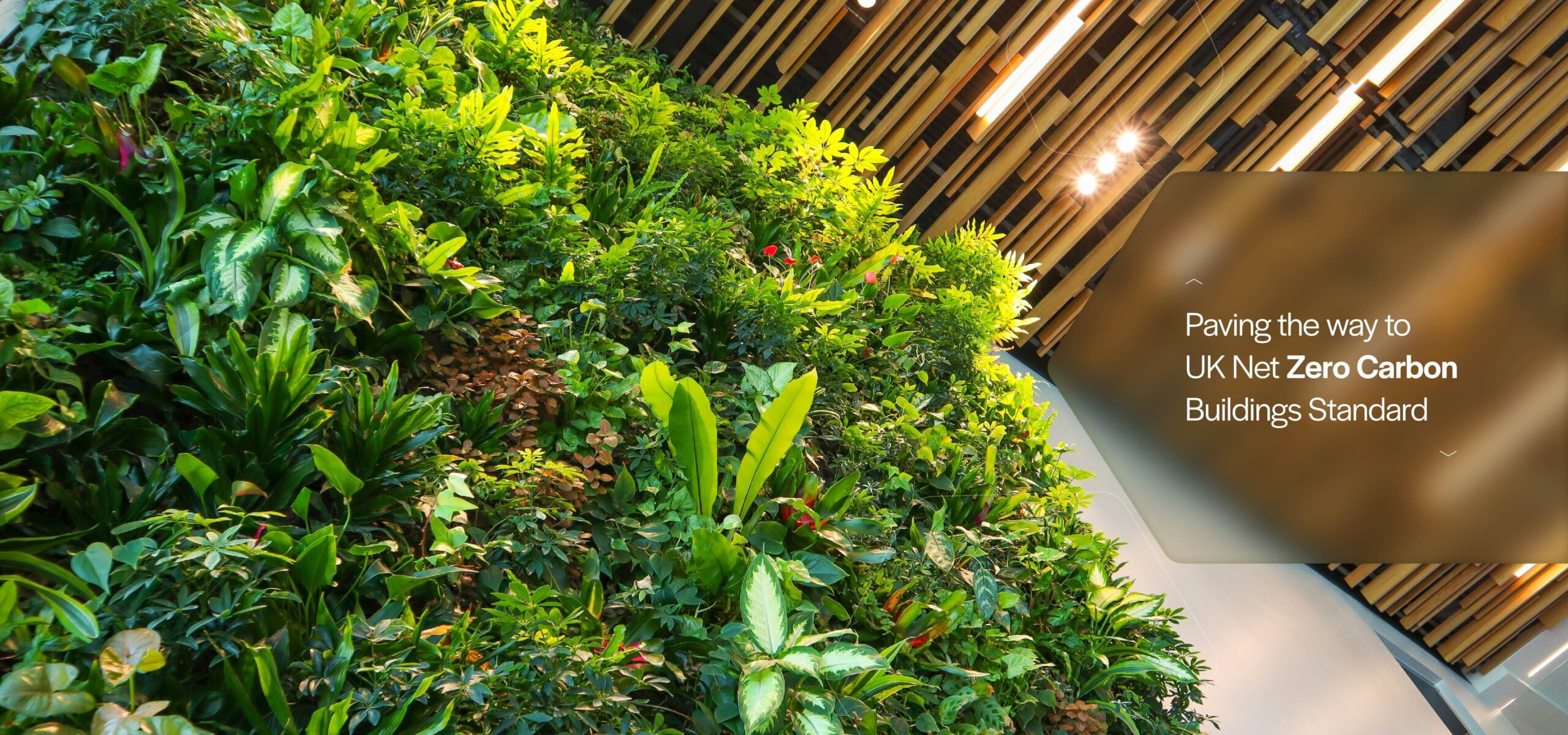 Picture of Paving the way to UK Net Zero Carbon Buildings Standard | Smart Spaces